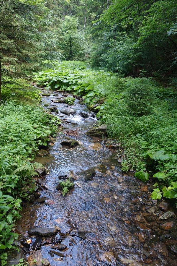 Penzion Chata Na Mlyne Horni Mesto Bagian luar foto
