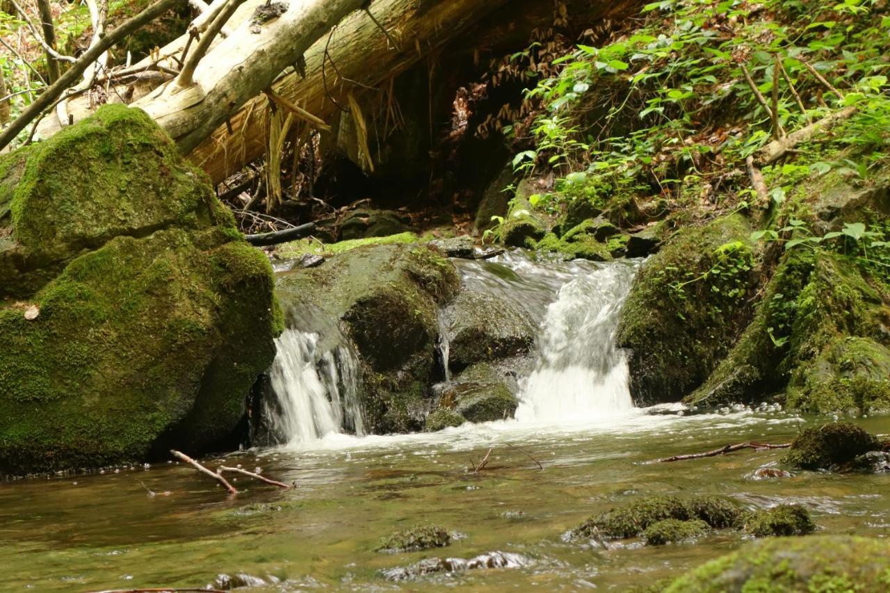 Penzion Chata Na Mlyne Horni Mesto Bagian luar foto